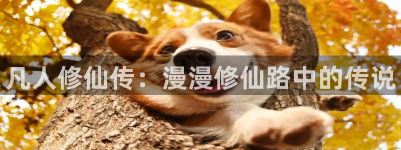 星星动漫网火狼：凡人修仙传：漫漫修仙路中的传说