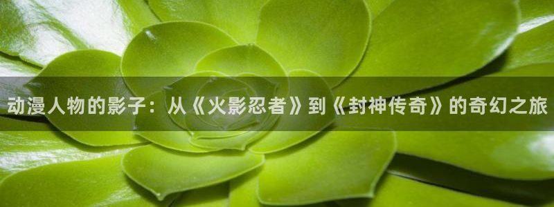 日本动漫火狼动漫网：动漫人物的影子：从《火影忍者》到《封神传奇》的奇幻之旅