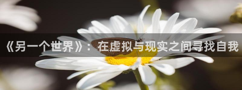 火狼动漫网下载：《另一个世界》：在虚拟与现实之间寻找自我